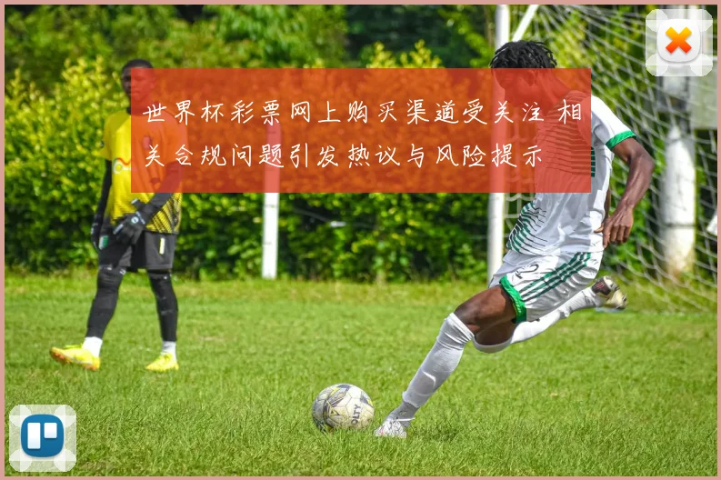 世界杯彩票网上购买渠道受关注 相关合规问题引发热议与风险提示