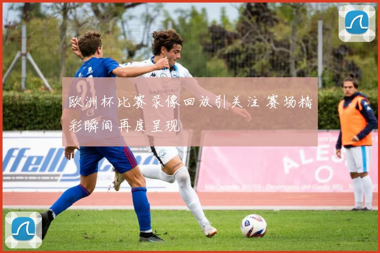 欧洲杯比赛录像回放引关注 赛场精彩瞬间再度呈现