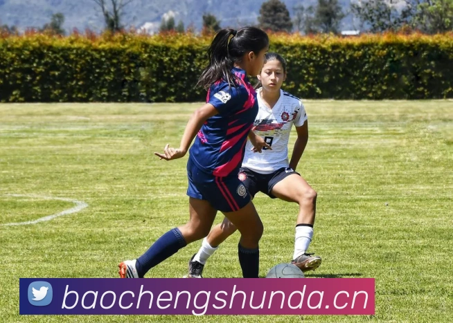 App Interface Preview